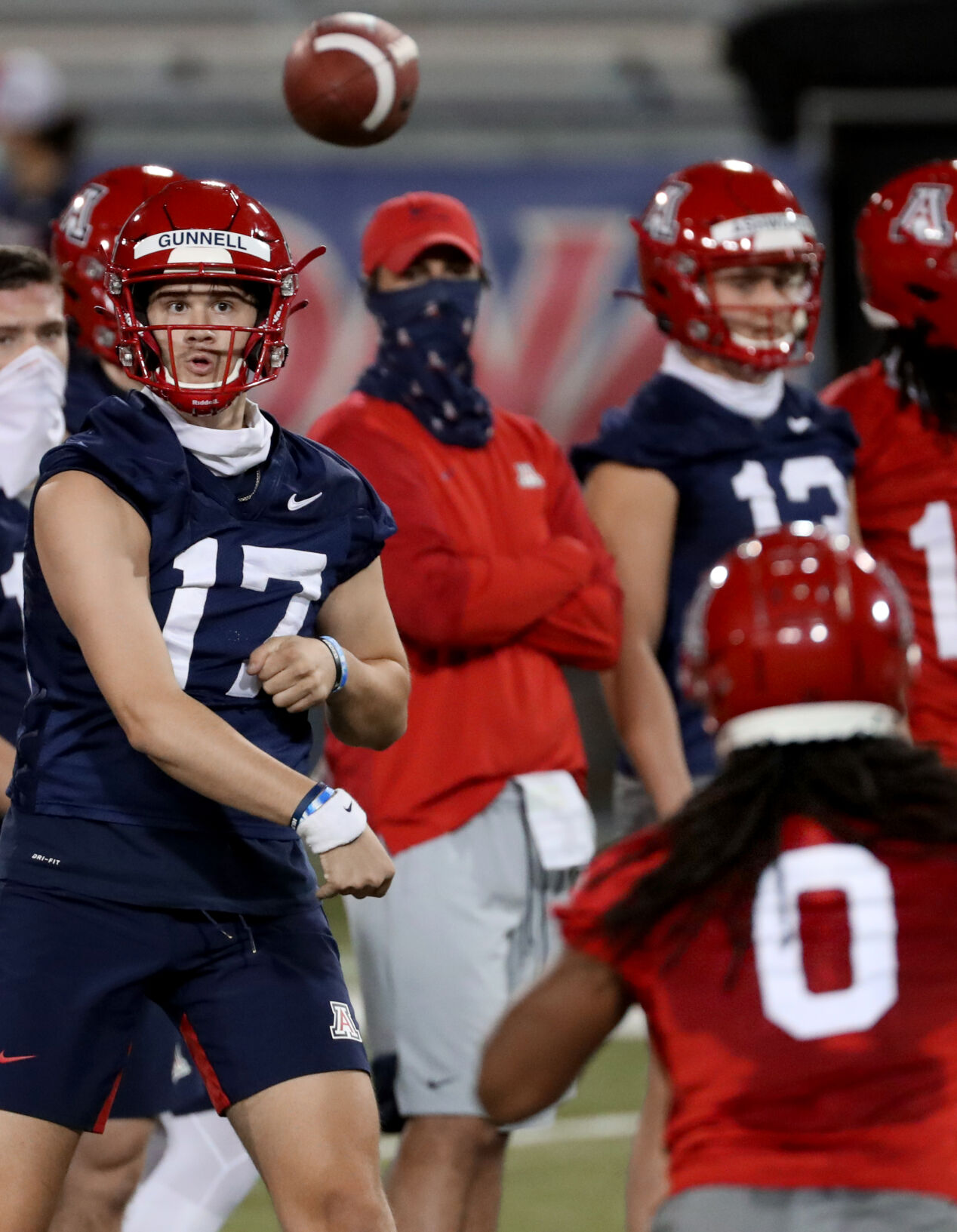 Arizona Wildcats